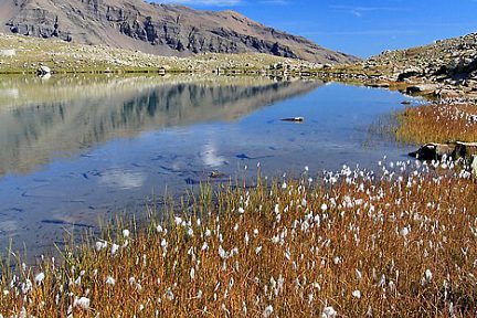Le lac Palluel