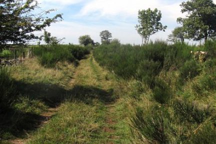 Draille sur Aubrac, sentier pour les troupeaux