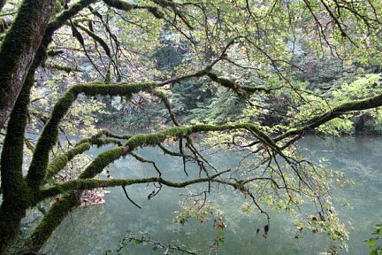 La Valserine près de Bellegarde sur Valserine