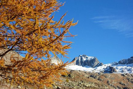 Automne en Vésubie