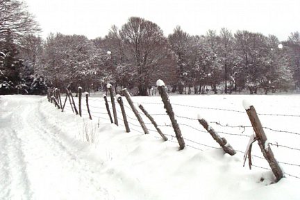 Neige près de Laguiole sur l'Aubrac