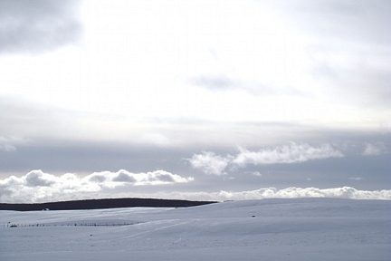 Plateau de l'Aubrac enneigé