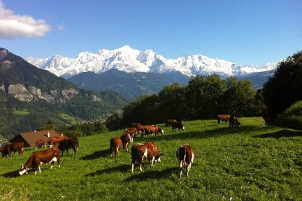 Massif du Mont Blanc: A Burzier, au dessus de Sallanches