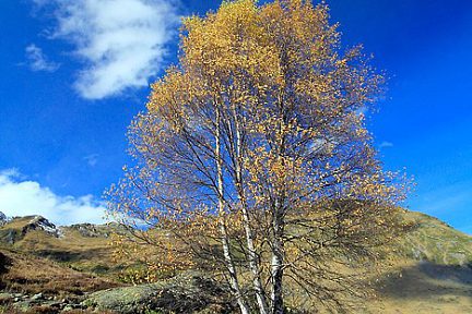 Débuts d'automne et premières neiges sur le plateau de Saugué