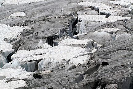 Le Glacier Blanc : randonnée depuis le Pré de Mme Carle