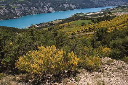 On domine le lac de Serre-Ponçon