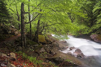 Chemin des cascades au dessus de Cauterets