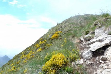 Le Puy Mary se dégage lorsque nous redescendons de l'autre côté 