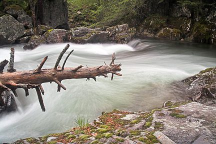 Chemin des cascades entre la Raillère et le pont d'Espagne