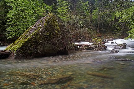 Gave de Cambalès sur le sentier des Cascades