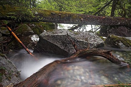Le bois, la pierre et l'eau
