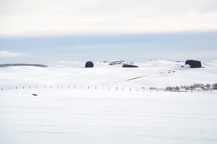 Randonnée en raquettes sur le plateau de l'Aubrac, Aveyron