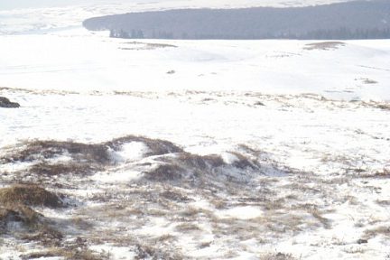 Paysage enneigé d'Aubrac et de ses prairies