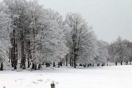Premières neiges en Aveyron