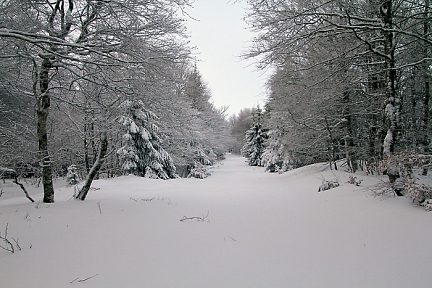 Sentier botanique de Laguiole