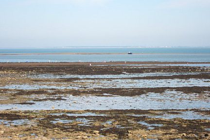 Paysage sur l'île de Ré