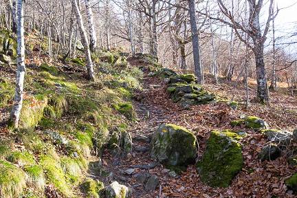 Le sentier monte dans la forêt