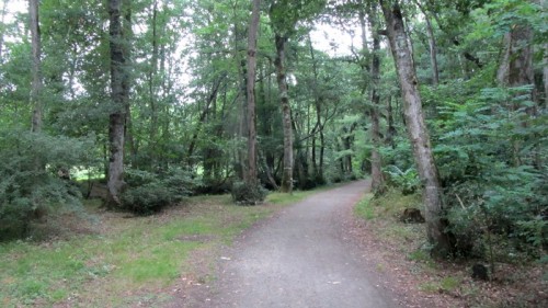Balade le long du lac de Christus