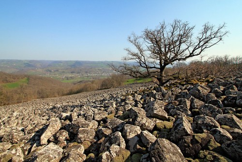 Coulée de lave de Roquelaure 