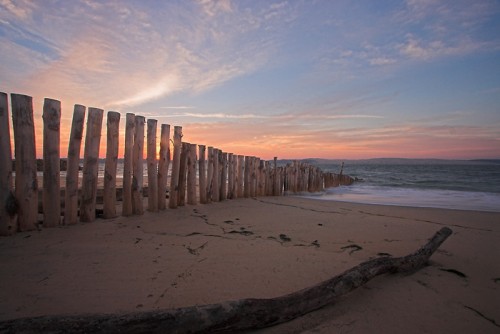 L'abécédaire des Dunes du Cap Ferret L'abécédaire des Dunes du Cap Ferret