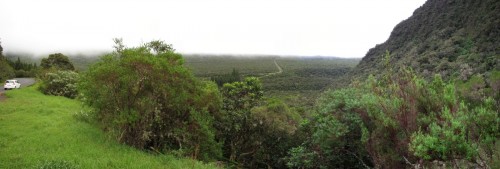 Forêt de Bébour