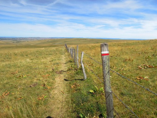 Randonn�e au Signal de Mailhe-Biau. D�partement Loz�re