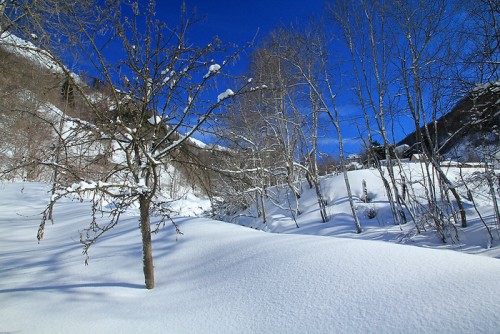 Randonn�es en raquettes � neige depuis Bar�ges