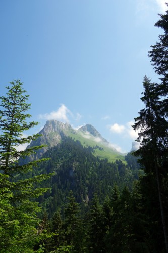 Dent D'Oche