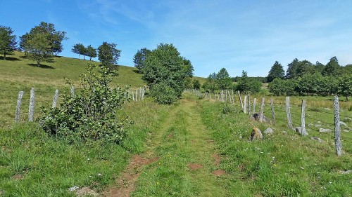 Montagne des Enguilhens