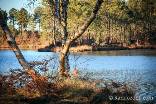 Hostens Balade 1 : Tour du petit lac de Bernadas Hostens Balade 1 : Tour du petit lac de Bernadas