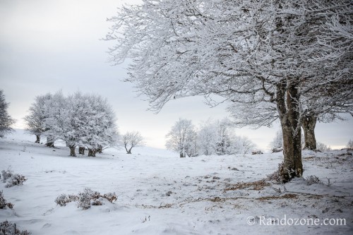 Allons marcher dans la neige poudreuse