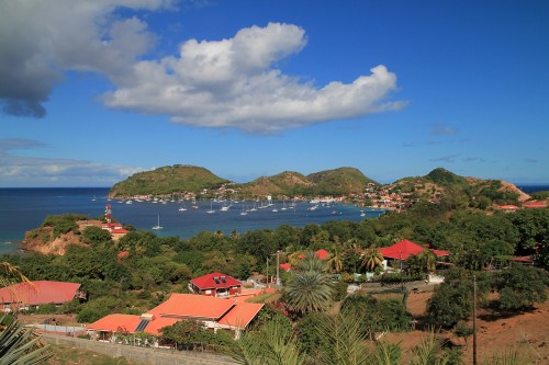 Randonnée au chameau sur l'île de Terre de Haut