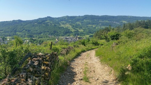 Circuit des vieilles vignes de Saint C�me d'Olt