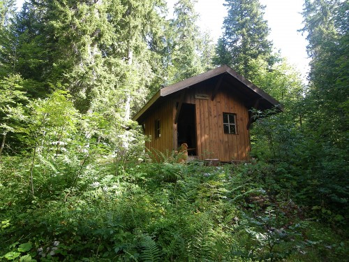 Traversée de la forêt du Risoux (Doubs - Suisse - Jura) 50 km