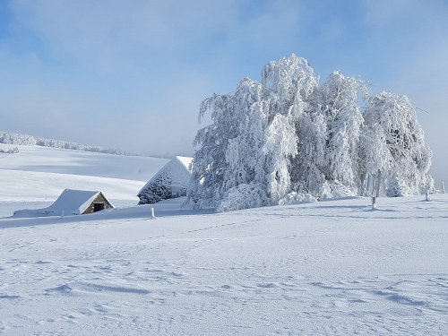 Randonne en raquettes  neige prs du Puy de Gudette