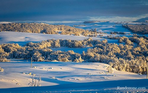 Plateau de l'Aubrac