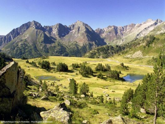 Pic Méchant