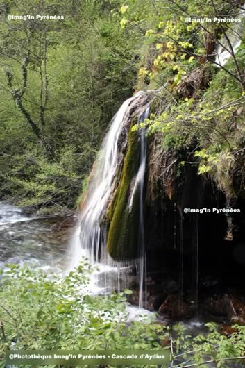 Cascade d'Aydius 