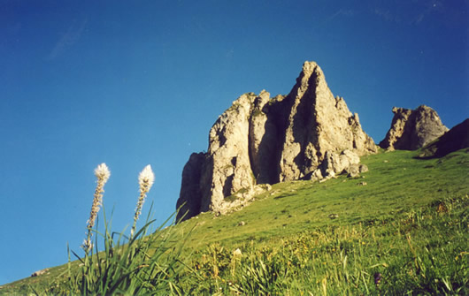 Le Lauriolle
