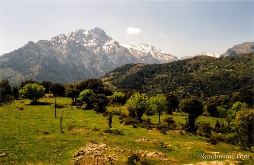 Randonnée en Corse : Tartagine et ses ponts génois depuis Olmi-Cappella