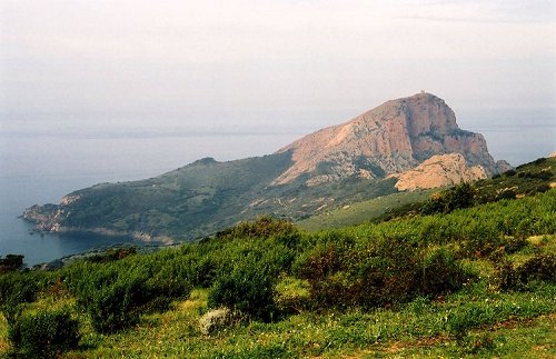 Randonnée au Capo Rosso en Corse
