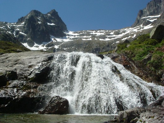 Tusse de Montarqué