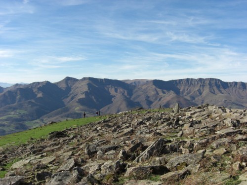 Jara