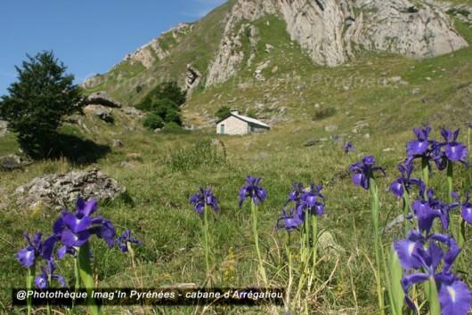 Cabane d'Arrégatiou