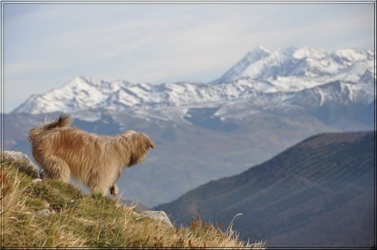 Soum de Granquet depuis le col des Spandelles Soum de Granquet depuis le col des Spandelles