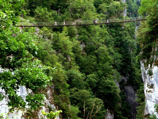Les chemins de la Haute-Soule : forêts, crêtes et canyons Les chemins de la Haute-Soule : forêts, crêtes et canyons