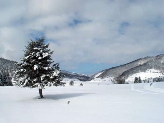 Randonn�e en raquettes � neige � Payolle