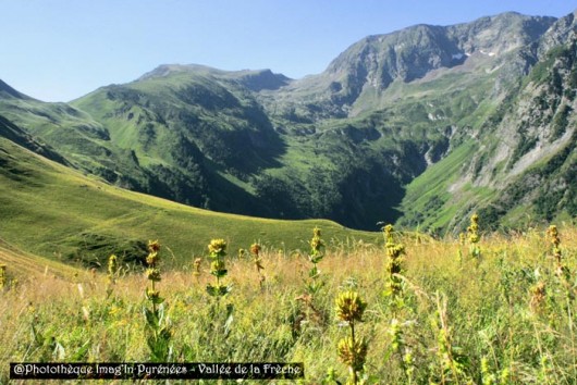 Vallée de la Frèche
