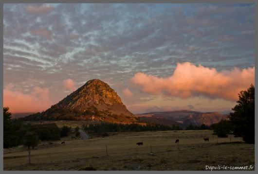 Mont Gerbier de Jonc