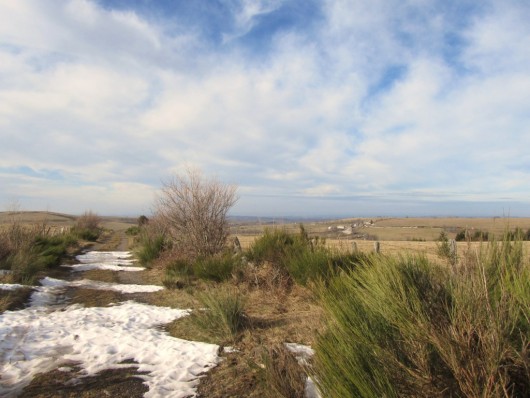 Randonn�e Plateau de l'Aubrac